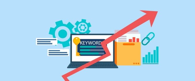 Organic traffic keywords