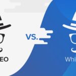 white hat vs black hat