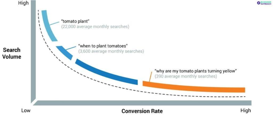 Using Long-Tail Keywords to Reach a Niche Audience