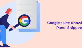 Welcome To Google's Lite Knowledge Panel Snippets