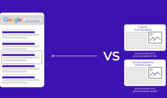 Keyword Cannibalization